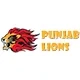 Puneri Paltan