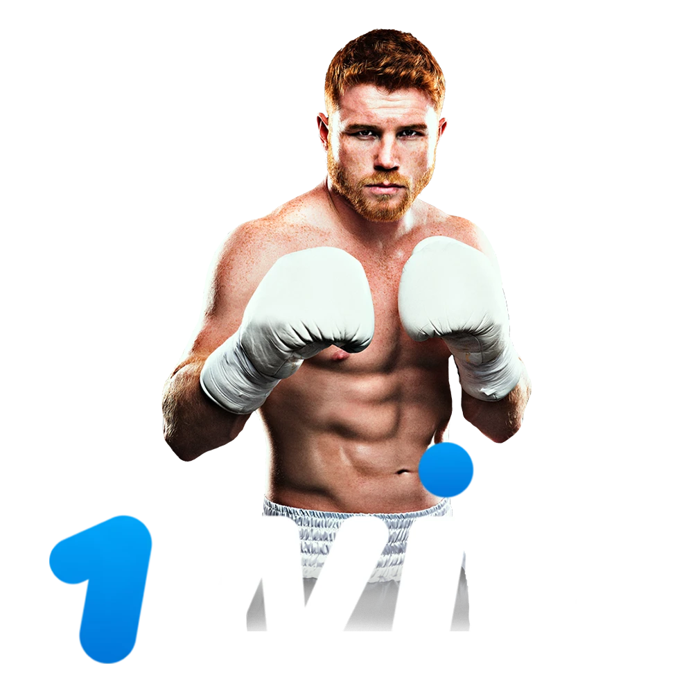 Find out more information about 1win's main bookmaker partner.